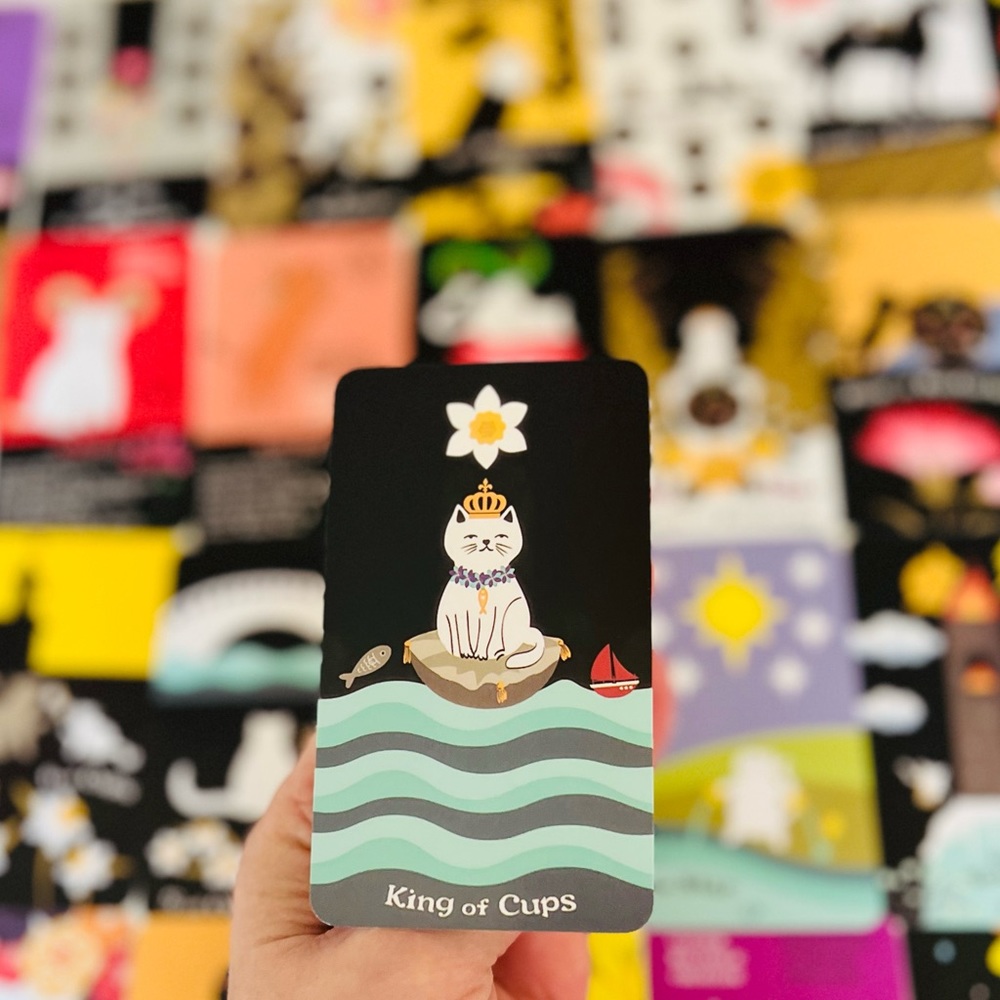 Tarot Card Mystery Box-Mini Cat version 😻